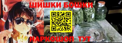 индика Дубна