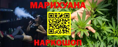 индика Дубна