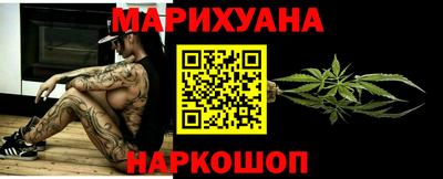 индика Дубна