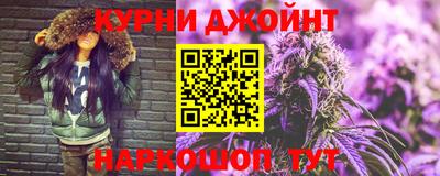 индика Дубна