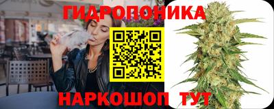 индика Дубна
