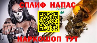 индика Дубна