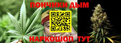 индика Дубна