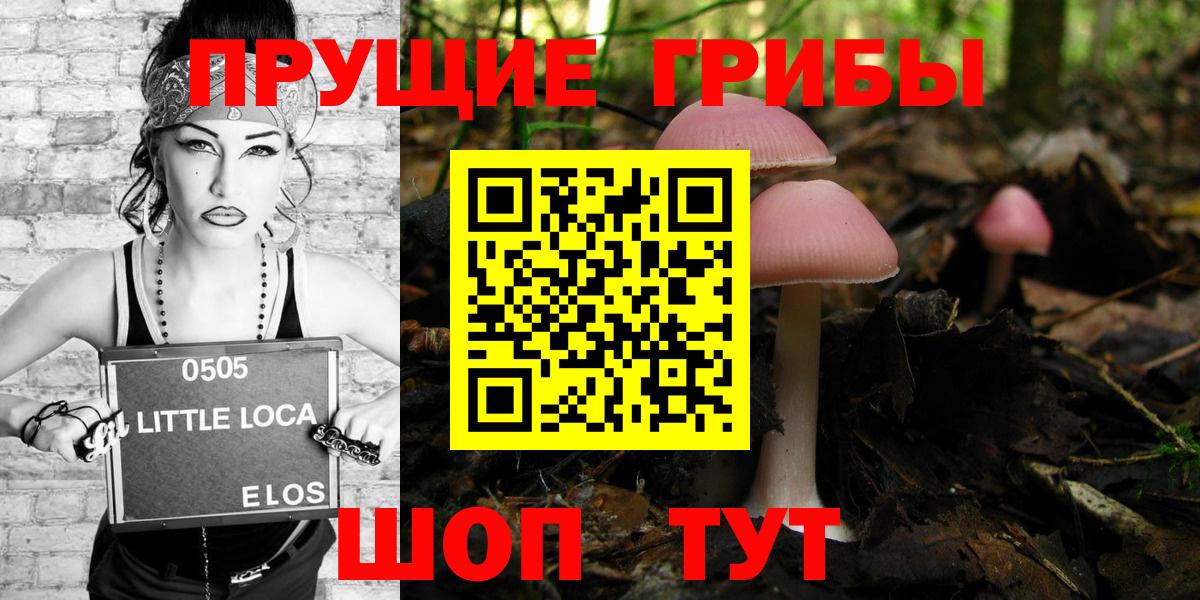 Галлюциногенные грибы мицелий  Псилоцибиновые грибы прущие грибы  Можга  Вход с VPN 